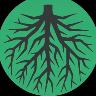 Roots Therapy